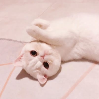 ญาญ่าหญิง รฐา avatar