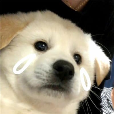 ลำไย ไหทองคำ avatar